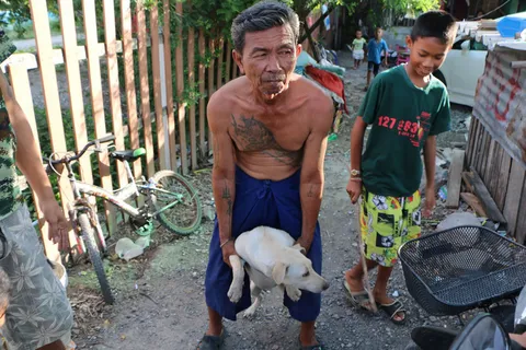 รุดช่วย 'เจ้าหวาน' สุนัขถูกไม้เสียบลูกชิ้นแทงปาก