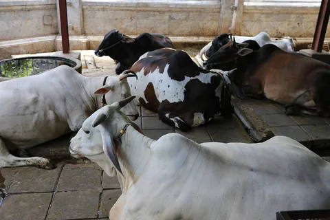 เปิดเคล็ดลับ! 10 วิธีทำบุญเสริมชะตาจัดหนักวันอาสาฬหบูชา