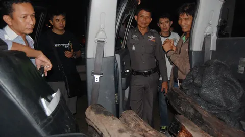 ภัยแล้งพ่นพิษ! หนุ่มใหญ่อำนาจเจริญ ผันตัวค้าไม้พะยูง อ้างทำนาไม่ได้