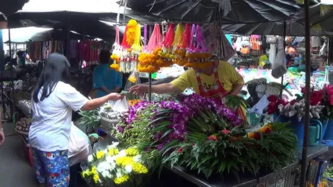 ดอกบัวแพง หลังกระทบภัยแล้ง มีจำหน่ายน้อยลง