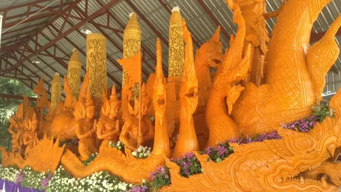 ชาวอุบลฯ ยังแห่ชม ต้นเทียนทองคำ ต.กุดลาด เล็งส่งโชว์ต่อที่ กทม.