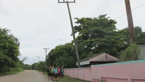 น่ากลัวมาก! กฟภ.ซ่อมเสาไฟ โยงไปยึดกับตอมะพร้าว 