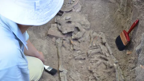 กรมศิลปากรรุดพิสูจน์กระดูกมนุษย์โบราณยุคเหล็ก 2,500 ปี ที่ด่านขุนทด