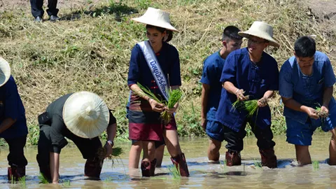 น้องแนท ร่วมกับผู้ว่าฯ ลำปาง ดำนา 'ปลูกวันแม่เกี่ยววันพ่อ' 