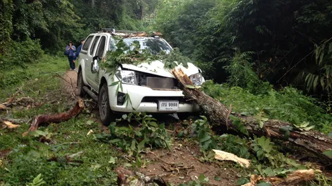 ไม้ใหญ่ล้มทับรถคณะเกษตรจังหวัดกลางป่าคนขับดับเจ็บ 3