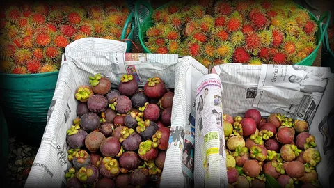 มาแปลก! โจรเมืองศรีสะเกษ ย่องขโมยผลไม้ ต้องติดวงจรปิดขอดูหน้า