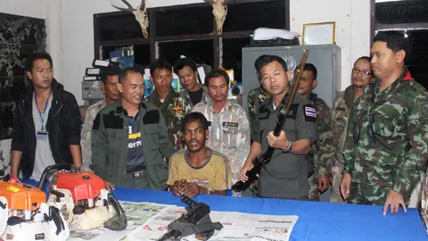 ปะทะสนั่นป่าทับลาน แก๊งมอดไม้ เกณฑ์ชาวเขมรกว่า 70 คน โค่นต้นพะยูง