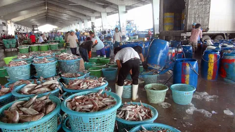 “ลั่นดาล”ประมงผิด ก.ม. เกษตรชงแนวทางเสนอรัฐย้ำไม่มีผ่อนผัน