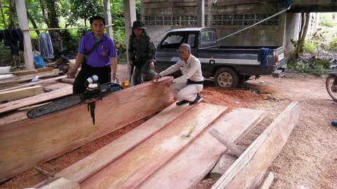 ทหารลุยจับโรงงานไม้เถื่อนน่าน ยึดไม้ยมหอม อายุกว่า 100 ปี 