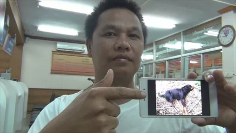 แค้น 'ร็อตไวเลอร์' เสี่ยร้านวัสดุก่อสร้าง กัดไก่ปางตาย วางยาเบื่อดับ 