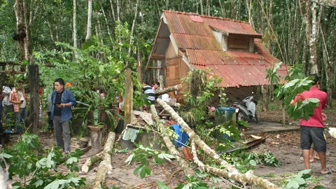 พายุถล่มสุราษฎร์ฯ หนุ่มนอนในขนำ ต้นยางใหญ่หักทับดับ 