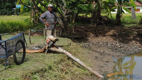ชาวบ้านสุโขทัย เจอจระเข้ในสระบัว จนท. เร่งหายังไม่พบ