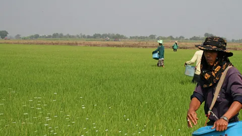 หักดิบแจ้งเกิดเหมืองโพแทช ภาครัฐการันตีเกษตรกรใช้ปุ๋ยเคมีราคาถูกลง15%