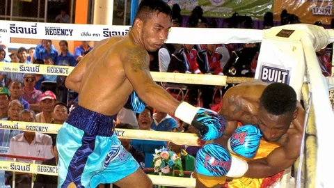 'ถิรชัย'ฟอร์มดุ! ชนะน็อกยก 6 ‘คมพยัคฆ์’ ใส คะแนนขาด