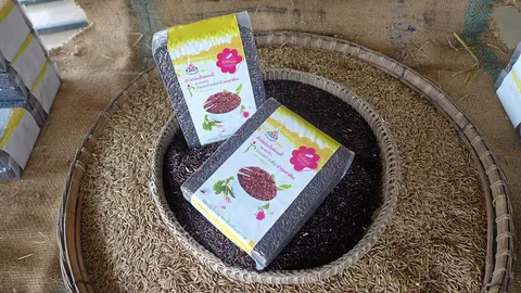 ไรซ์เบอร์รี่ ณ บ้านเสาหิน เป็นอะไรที่มากกว่าข้าว