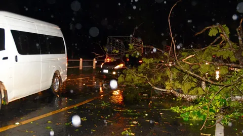 สำรวจความเสียหาย ฝนถล่มปราจีนฯ ต้นไม้ล้มทับบ้าน-ผลไม้ 
