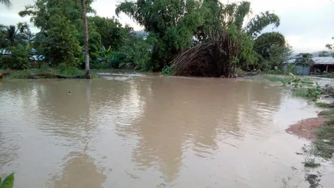 ฝนตก น้ำป่าไหลท่วม พื้นที่การเกษตรเสียหาย