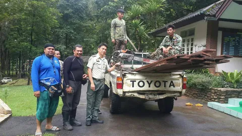 ลอบตัดไม้อุทยานฯเขาแหลม จนท.ชี้จับยาก มีสายคอยดูต้นทาง