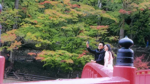 เปิดฉาก 'เพลิงตะวัน' โรแมนติกชมใบไม้เปลี่ยนสีแดนอาทิตย์อุทัย