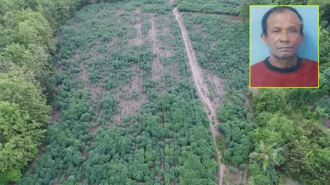 ผีบังตา!! หมอผีเมืองแพร่วิ่งเข้าป่า คนนับร้อยหา 4 วัน ยังไร้วี่แวว 