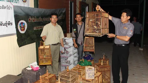 กรมอุทยานฯบุกจับค้านกกรงหัวจุก ตลาดนัดสวนจตุจักร