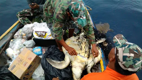 ช่วยชีวิตเต่าตนุ ติดอวนเรือประมง ตั้งชื่อ ‘บุญมี-บุญถึง’ ปล่อยคืนทะเล  