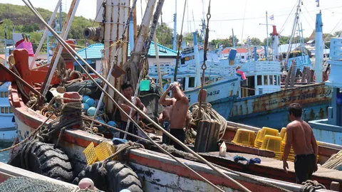 ประมงโอด! ถูกจำกัดวันจับปลา ขายได้ไม่คุ้มทุน