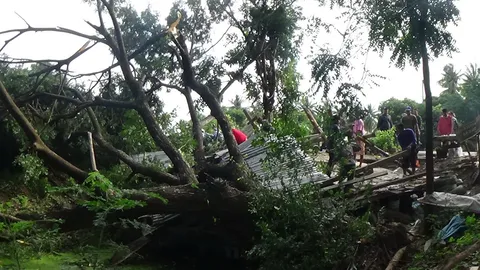 ต้นก้ามปูยักษ์อายุร่วม 100 ปี หักโค่นทับร้านค้าพังเสียหายยับ