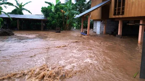 200 หลังอ่วม! น่านฝนถล่มทั้งคืน น้ำป่าหลากทะลักท่วมบ้าน