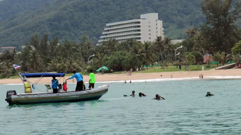 ระดมทีมหา 'บลูชาร์ก' แต่ไร้เงา นักวิชาการแย้งคมเขี้ยว 'ปักเป้า' มากกว่า