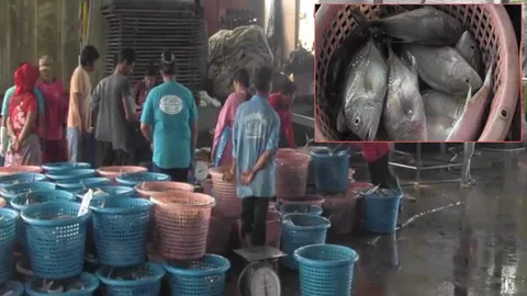 เหมือนถูกหวย! ออกเรือวันแรก จับปลากะมงได้เกือบ 10 ตัน มูลค่าเกือบ 1 ล้านบาท