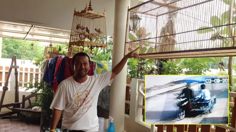 ชาวบ้านสุดทน! แก๊งลักนกกรงหัวจุกอาละวาดหนัก 1 เดือนกวาดกว่า 20 ตัว