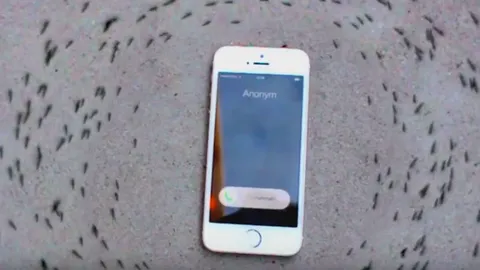 เพราะอะไรยังงง? พิศวงมดเดินวนรอบไอโฟน เรียงแถวอย่างกับสั่งได้