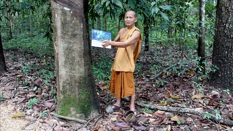 "หลวงตา" ช่วยปลูกป่า ถูกกล่าวหาว่าบุกรุก