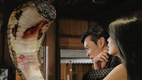 ‘งูเห่ายักษ์’ หลากอารมณ์