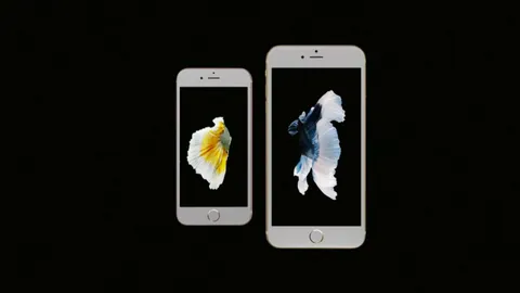 ภูมิใจที่คนไทยทำได้ เบื้องหลังภาพปลากัดบนไอโฟน 6S ขอบคุณทุกกำลังใจ 