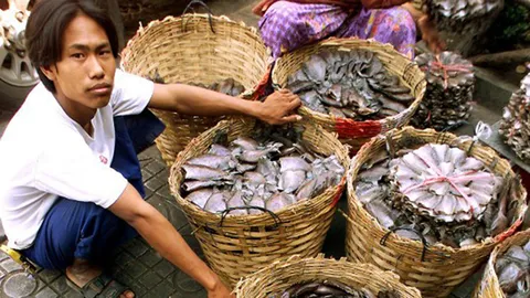 'ILO' เตือน แรงงานเด็ก ในอุตสาหกรรมแปรรูปอาหารทะเลไทย เสี่ยงบาดเจ็บสูง