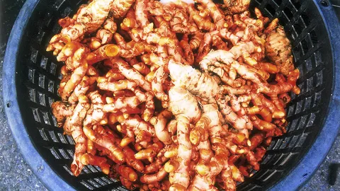 “ขมิ้นชัน” คือขมิ้นแกง