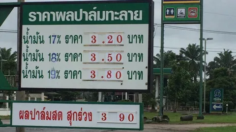 ชาวสวนปาล์มเคราะห์ซ้ำ! รง.สกัด ลดรับซื้อ 60 สต. จี้ยกเลิกประกาศ