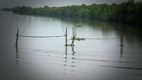 จนท.ถอนโพงพางสตูล วันแรก ขณะเมืองคอน กำหนดรื้อต้น ต.ค.