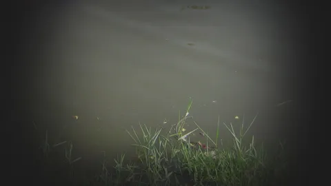 สาวใหญ่ป่วย 'จิตเภท' กระโดดน้ำดับ คาดกลุ้มใจปัญหาส่วนตัว