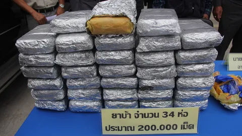 รวบคาด่าน 2 ผัวเมียขนยาบ้าซุกฝากระโปรงรถ 2 แสนเม็ด