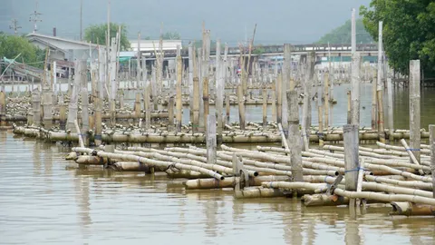 ประมงจันทบุรี 3 อำเภอ ร้อง ผวจ. ยืดเวลารื้อถอนโพงพาง