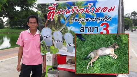 ชื่นชม!! พ่อค้าใจดี นุ่งผ้าขาวม้า โดดช่วยหมาติดตาข่ายดักปลา กำลังจมน้ำ