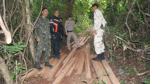 ลอบตัดไม้ป่าสงวนที่สุราษฎร์ ยึดตะเคียนหิน 30 ท่อน แปรรูป 62 แผ่น