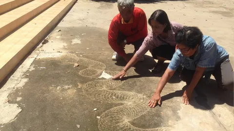 ชาวบ้านแห่ดูรอยพญานาค เลื้อยขึ้นกลางวัด กราบหลวงพ่อทันใจ