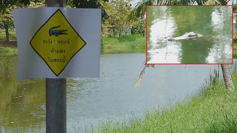 ไอ้เข้ ยาวกว่า 2 เมตร หลุดฟาร์ม โผล่สระ หลัง ปตท.ราชบุรี 