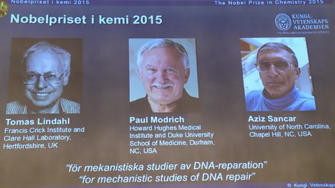 3 นักวิจัยศึกษาการซ่อมแซม DNA ซิวโนเบลสาขาเคมี