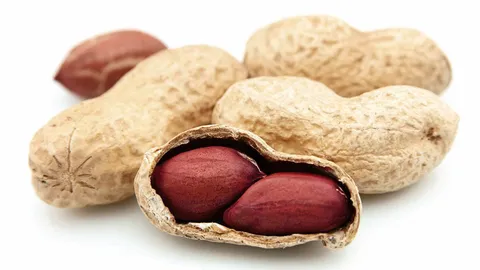 อะฟลาท็อกซินในถั่วลิสงต้ม