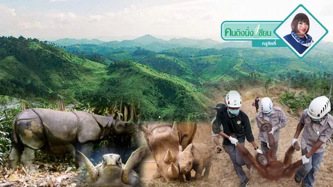  เศร้าใจ.. สัตว์ใกล้สูญพันธุ์